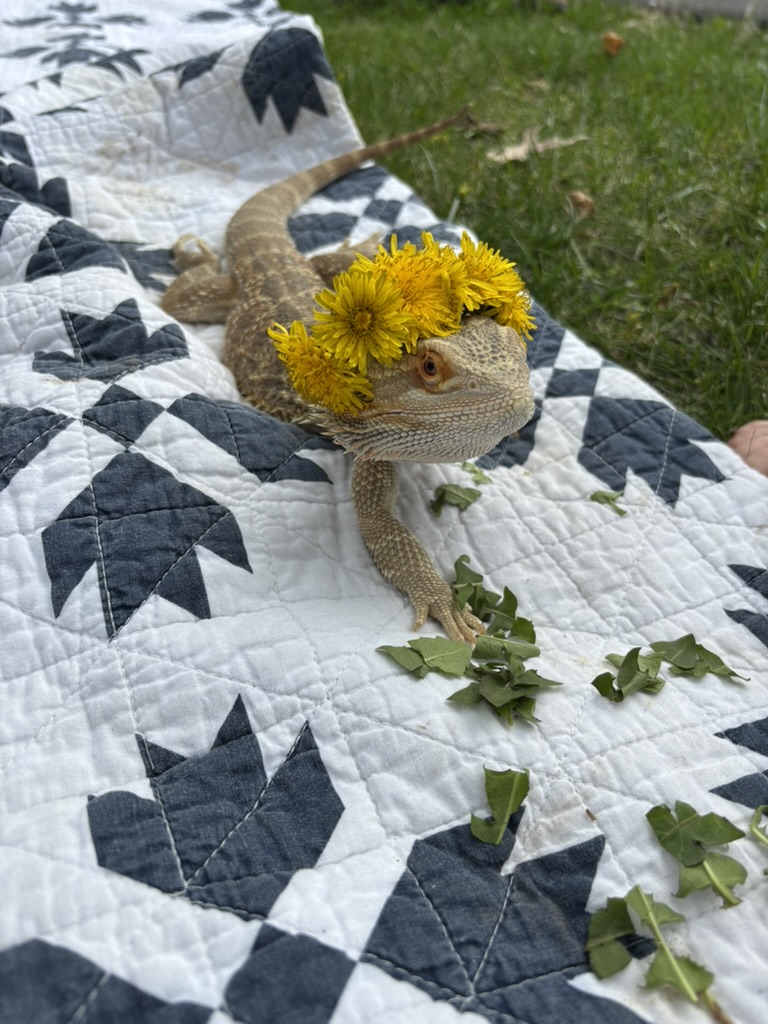 6a9331cb 545e 49f1 a849 f6c6676a955a 1 105 c