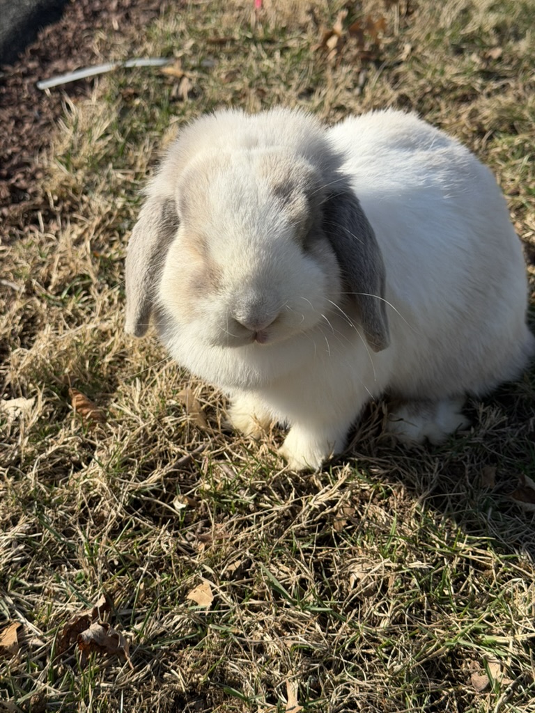 b57851ff b9c7 4546 a48e e3f6fbef3e5c 1 105 c