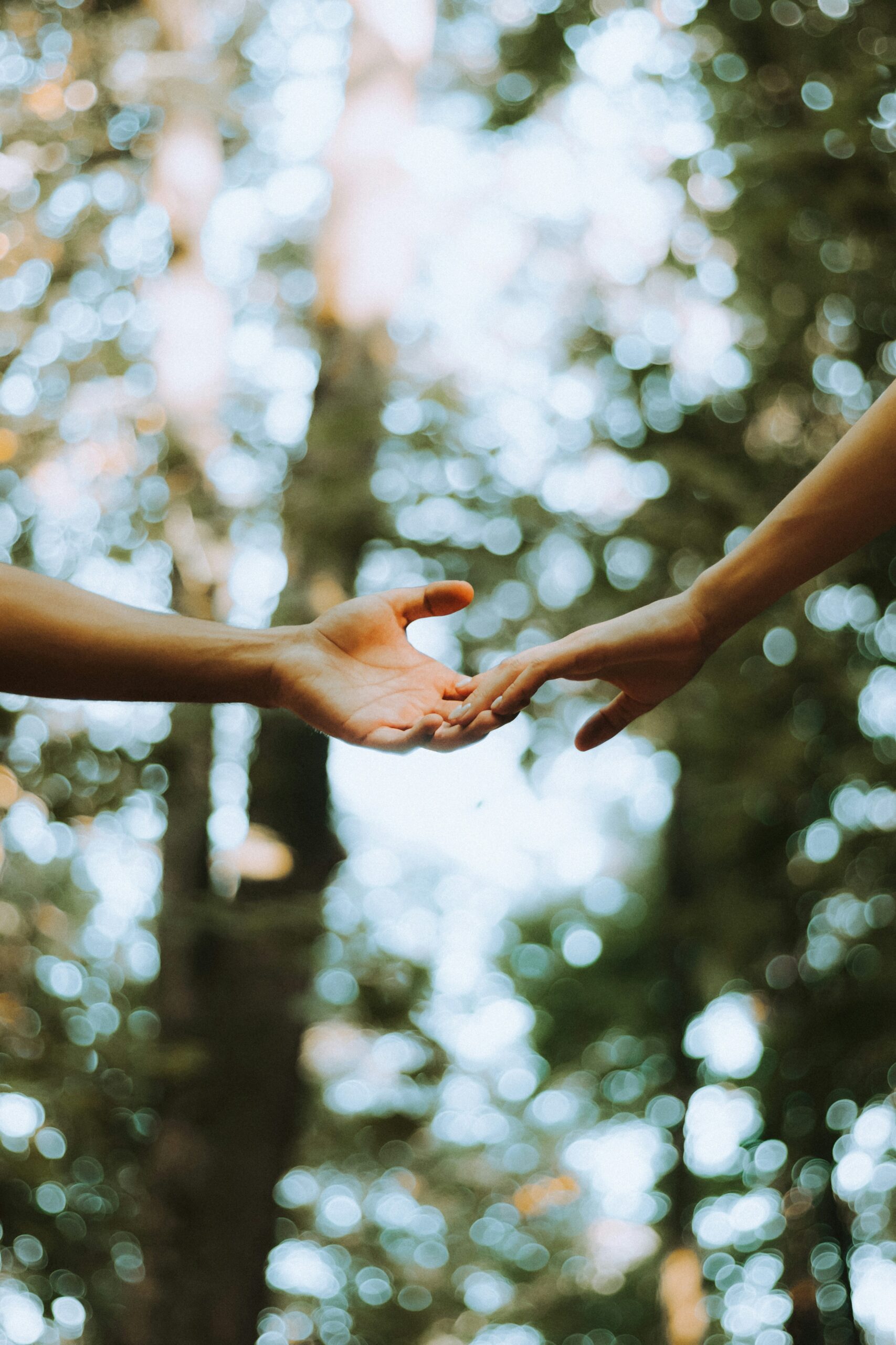 Our Services artawkrn txnsbe y0to unsplash
